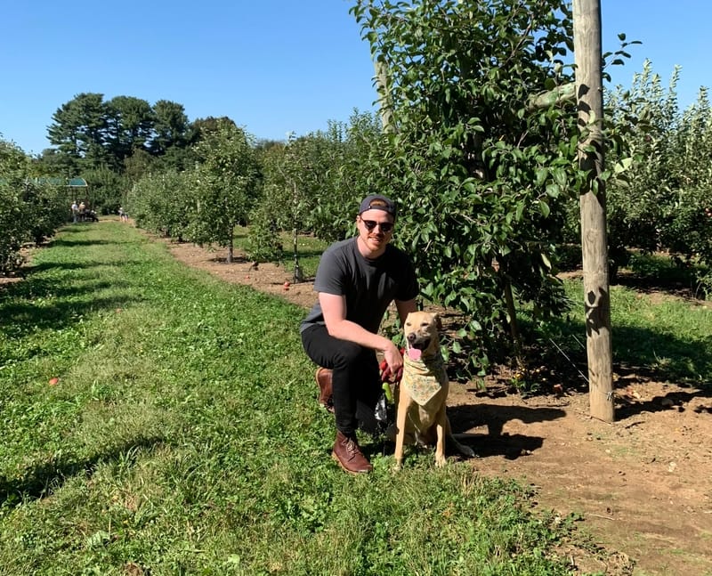 Top dog advertising Kevin And Sadie Apple Picking-p-800