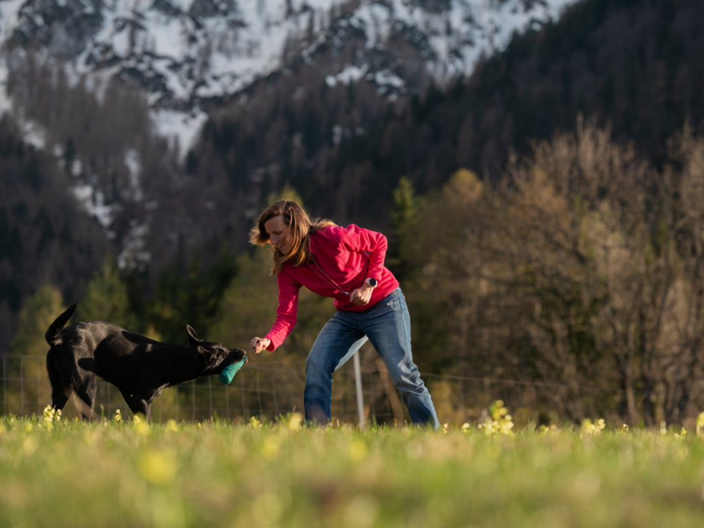 Dog-training-session