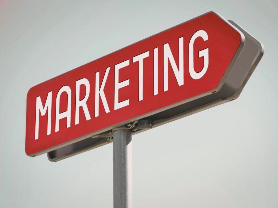 Traditional Marketing vs Agency Support for Dog Trainers: How to Choose